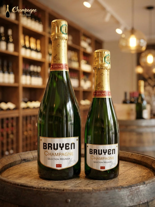 Bruyen - Petit Dame Noire (Demi) - Champagne Pour Tout