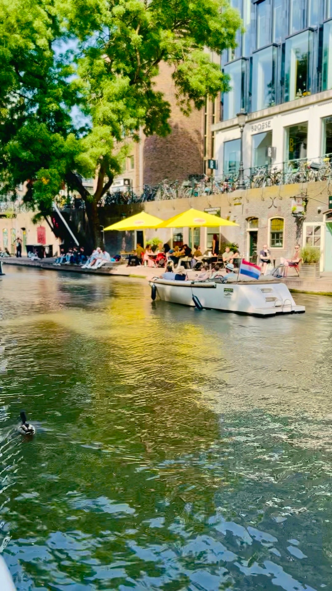 Rondvaart 1 - Oudegracht & Singel