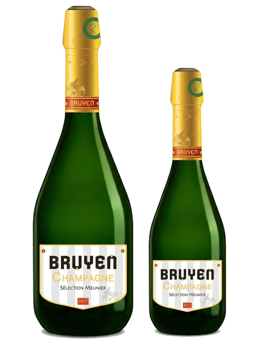 Bruyen - Petit Dame Noire (Demi) - Champagne Pour Tout