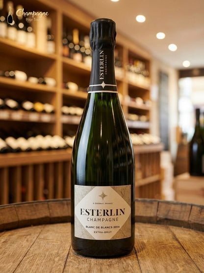 Esterlin - Blanc de Blancs 2014 - Champagne Pour Tout