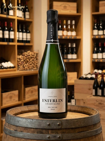 Esterlin - Brut Nature 2009 - Champagne Pour Tout