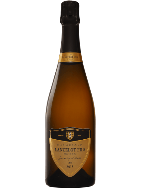 Lancelot Fils - Millésime 2018 "Sur les Gros Monts" - Champagne Pour Tout